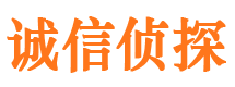 廊坊市私家侦探